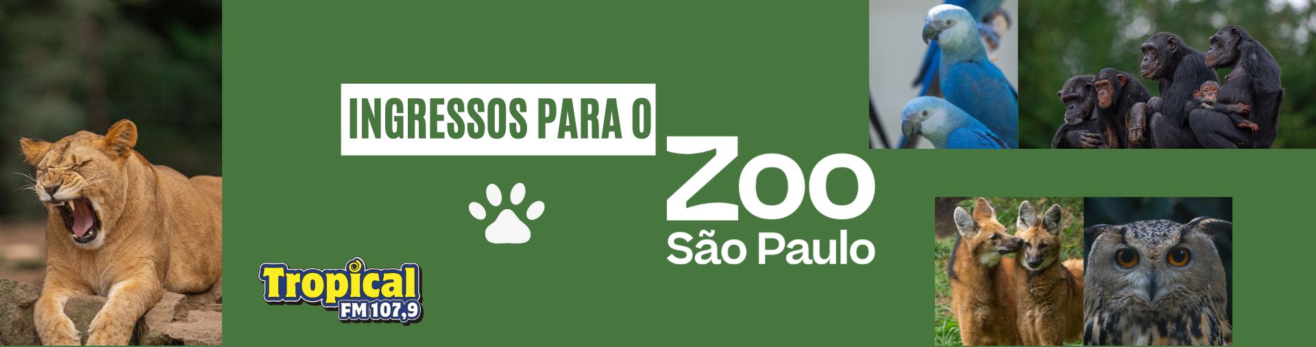 Banner Ingressos para o Zoo SP