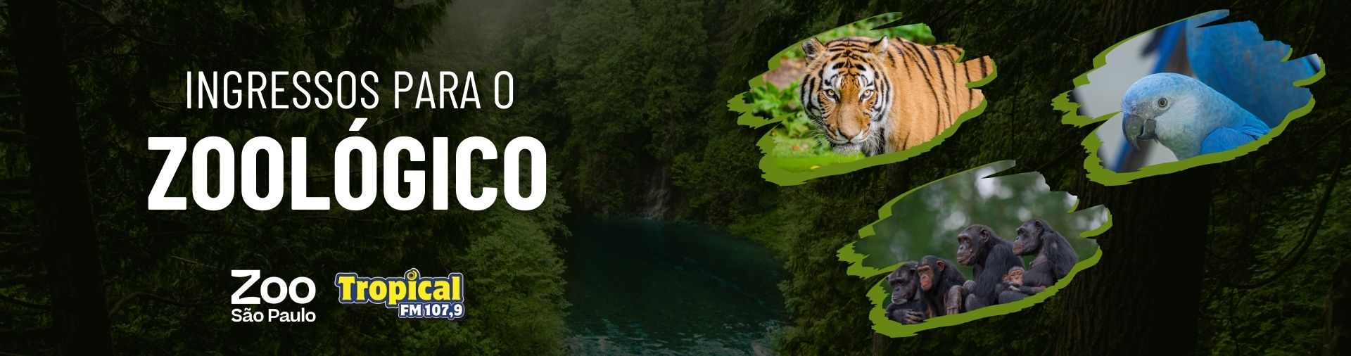 Banner Ingressos para o Zoo SP